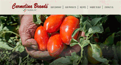Desktop Screenshot of carmelinabrands.com