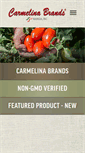 Mobile Screenshot of carmelinabrands.com