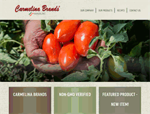 Tablet Screenshot of carmelinabrands.com